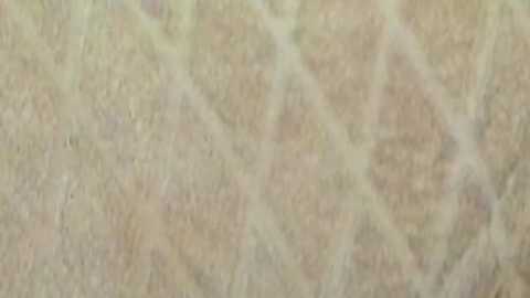 minerva777 @ chaturbate on 20251110