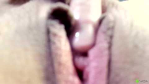 courtney_luv @ chaturbate on 20251111