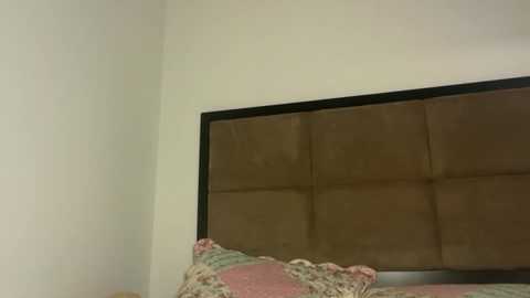 dollyrhodesss @ chaturbate on 20251111