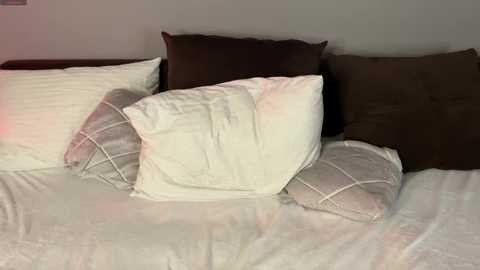 petalpage @ chaturbate on 20251111