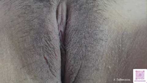 sophie_lii @ chaturbate on 20251111