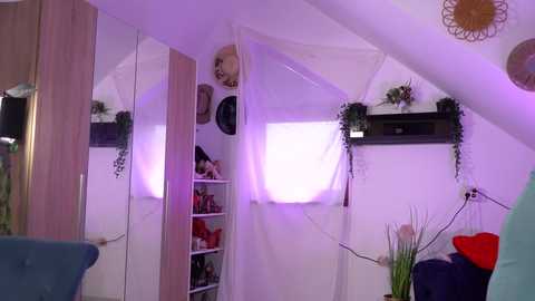 artofboobs @ chaturbate on 20251112