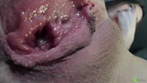 courtney_luv @ chaturbate on 20251112