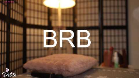 delitevip @ chaturbate on 20251112