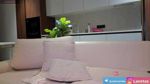 lavetax @ chaturbate on 20251112