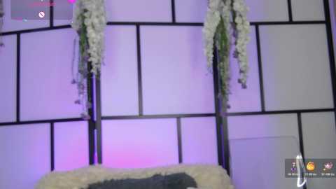 xenomy @ chaturbate on 20251112