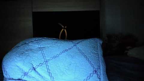 angell6969 @ chaturbate on 20251113