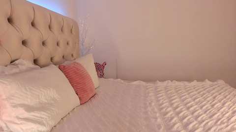 dee_nise @ chaturbate on 20251113