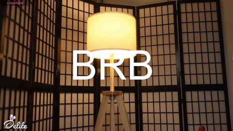 delitevip @ chaturbate on 20251113