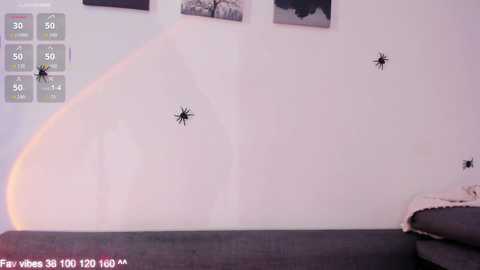 elimeowy @ chaturbate on 20251113