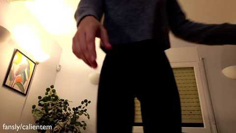 ms_seductive @ chaturbate on 20251113