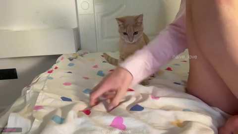 naive_love @ chaturbate on 20251113