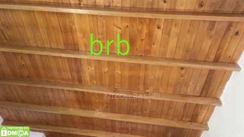 nicollbashel @ chaturbate on 20251113