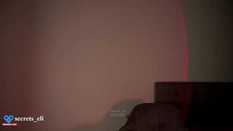 secrets_eli @ chaturbate on 20251113