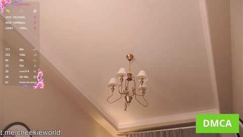 cheekie_breekie @ chaturbate on 20251114