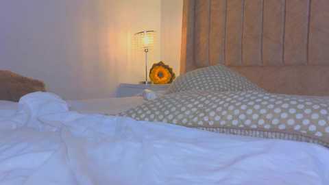 gina_akemi @ chaturbate on 20251114