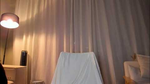 minnie_jin @ chaturbate on 20251114