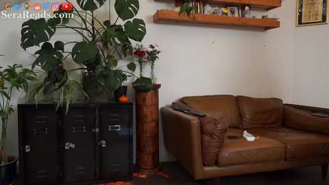 serareads @ chaturbate on 20251114