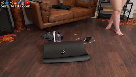 serareads @ chaturbate on 20251114