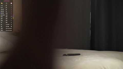 sheenadu @ chaturbate on 20251114