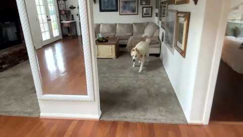 tylababyy @ chaturbate on 20251114