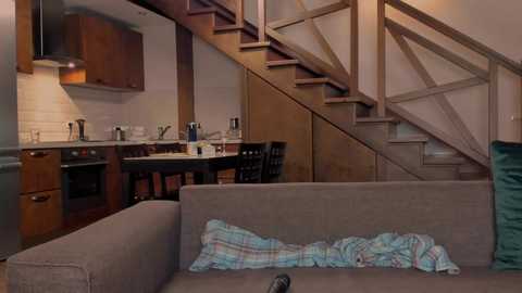 vanillalivitski @ chaturbate on 20251114