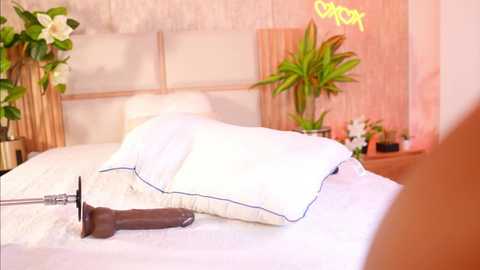 ana_maria11 @ chaturbate on 20251115