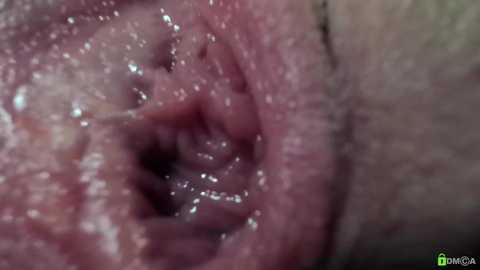 courtney_luv @ chaturbate on 20251115