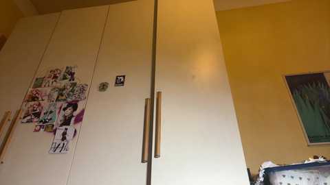 faseremx @ chaturbate on 20251115