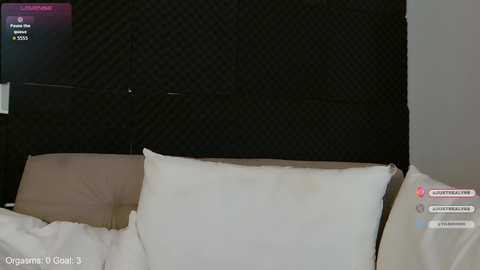 lady_yas @ chaturbate on 20251115