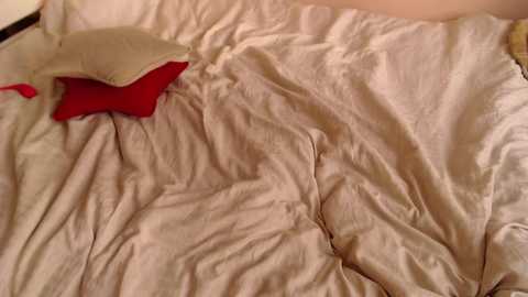 my_hannah @ chaturbate on 20251115