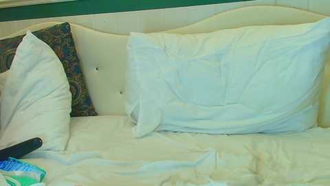 sexy_b0rsch @ chaturbate on 20251115