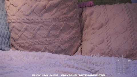 taitehambelton @ chaturbate on 20251115