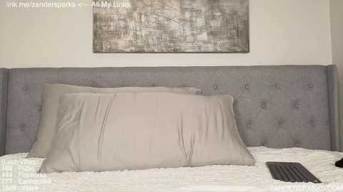 zandersparks @ chaturbate on 20251115