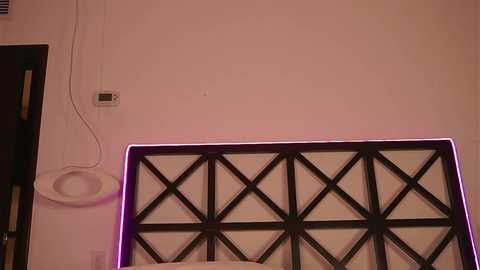 erikabee @ chaturbate on 20251116