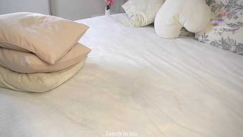 inthelabyrinthsofmysoul @ chaturbate on 20251116