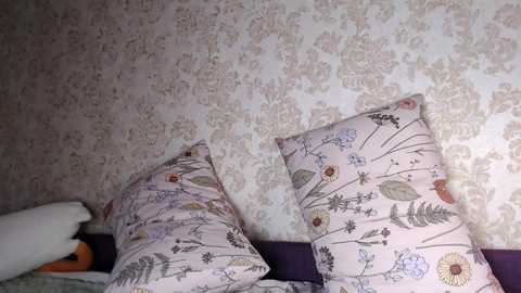 ohmygoddestkimmy @ chaturbate on 20251116