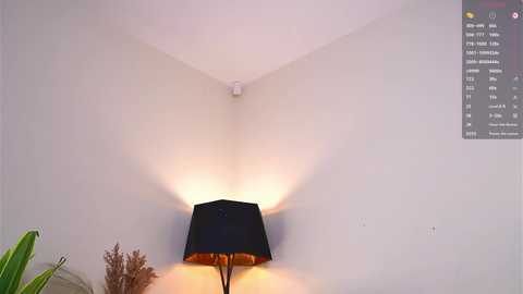 pafosstar @ chaturbate on 20251116