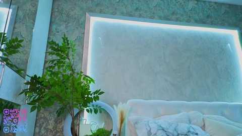 quennacindy @ chaturbate on 20251116