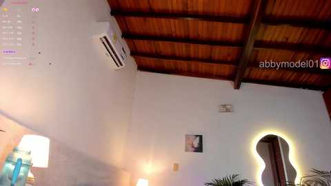 abbymodel01 @ chaturbate on 20251117