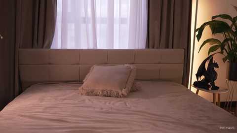 alissa_wxw @ chaturbate on 20251117