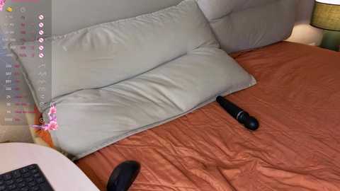 brightrays__ @ chaturbate on 20251117