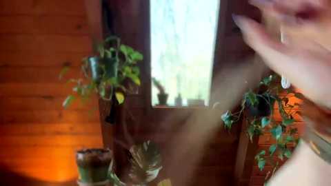 emersoncane @ chaturbate on 20251117