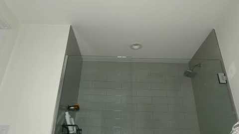 reecemarie @ chaturbate on 20251117