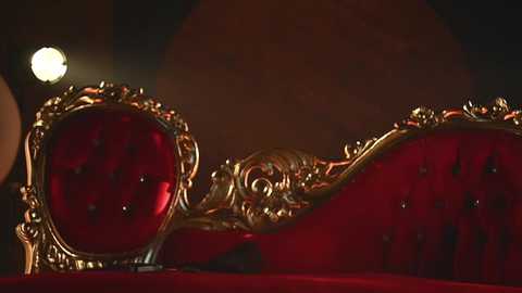 rocknrose @ chaturbate on 20251117