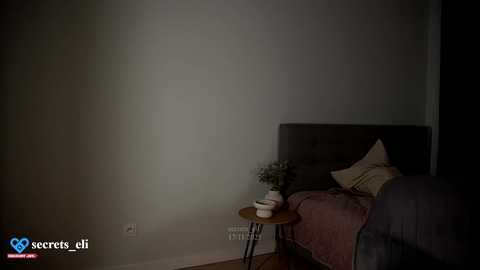 secrets_eli @ chaturbate on 20251117