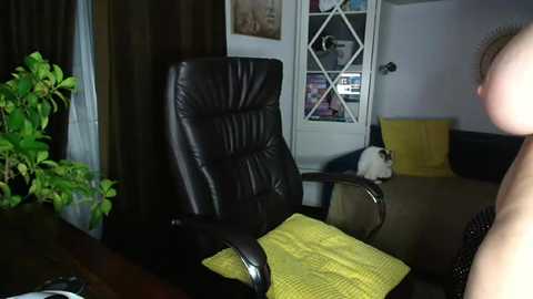 siriamasha @ chaturbate on 20251117