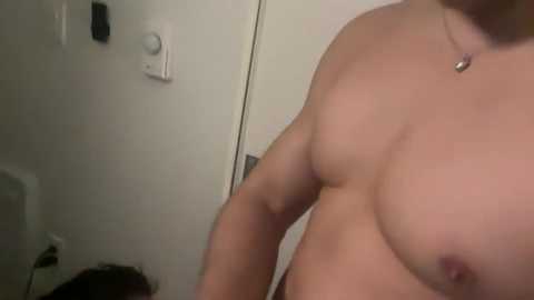 bonebrosxxx @ chaturbate on 20251118