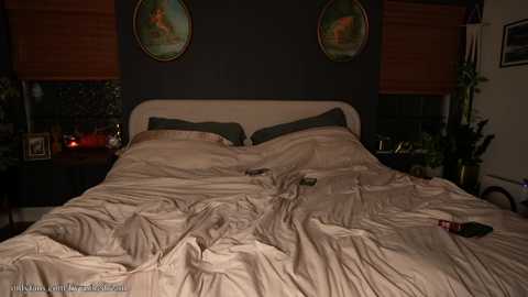 livanddrew @ chaturbate on 20251118