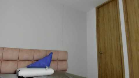 mara_storm @ chaturbate on 20251118